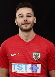 Bild von Spieler Giorgi Veleanu