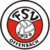 Logo FSV Offenbach