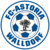 Logo FC-Astoria Walldorf