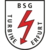 Logo BSG Turbine Erfurt