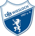 Logo VfB Wiesloch